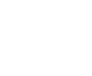 Evolution games at Dogs Fortune Casino