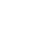 NetEnt games at Dogs Fortune Casino